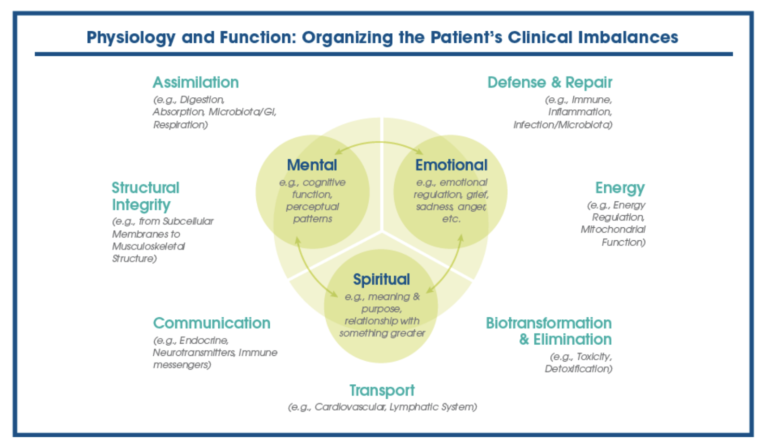 What Is The Difference Between Functional Medicine And Lifestyle Medicine?